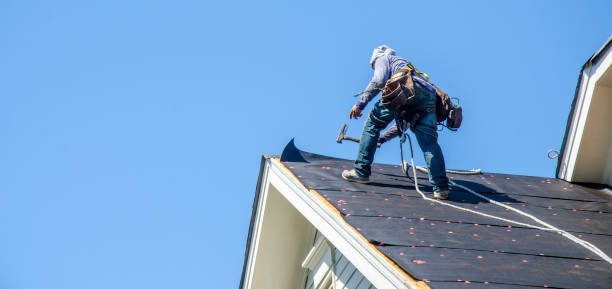 Best Flat Roof Repair Services  in Delavan, WI